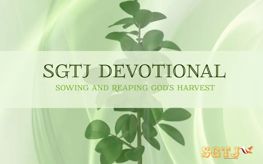 Sowing and reaping God's harvest