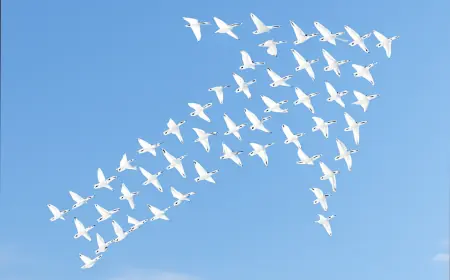 SGTJ Children's Financial Adoption Program