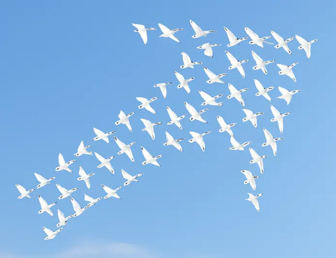 SGTJ Children's Financial Adoption Program