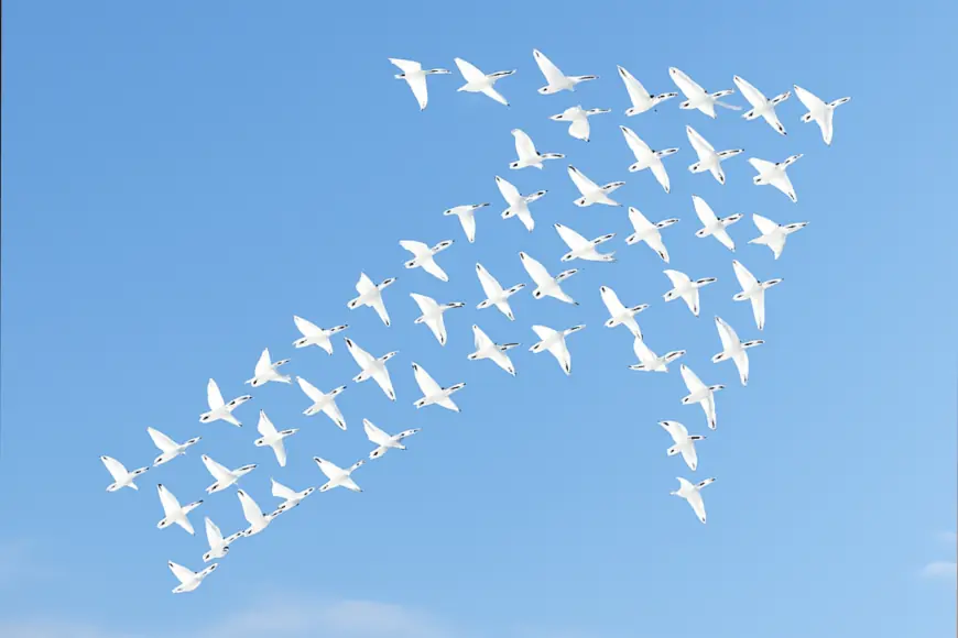 SGTJ Children's Financial Adoption Program